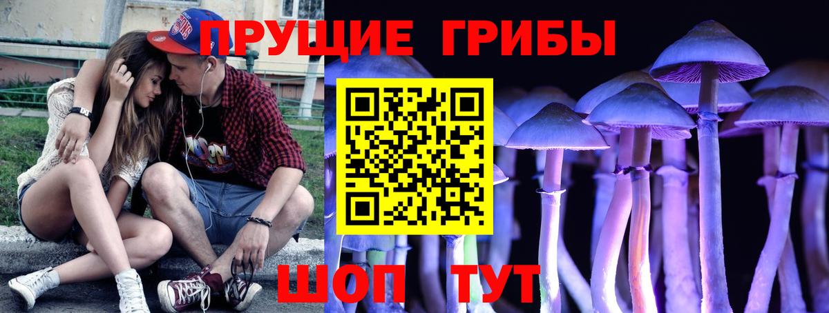 Псилоцибиновые грибы прущие грибы Нижнеудинск