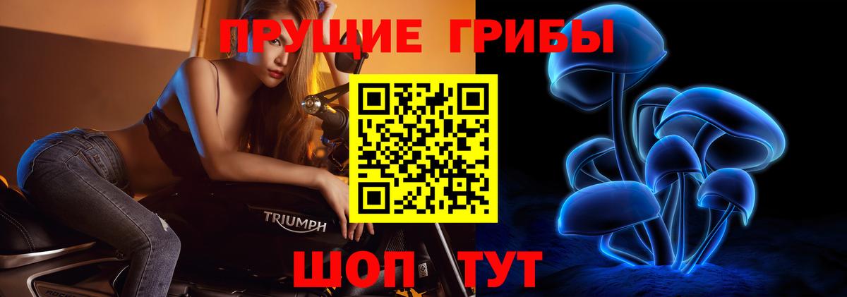 Нижнеудинск  Галлюциногенные грибы Psilocybine cubensis  Галлюциногенные грибы прущие грибы  что такое   Вход с VPN 